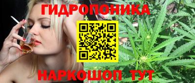 шишки Железногорск