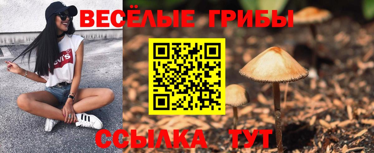Псилоцибиновые грибы мухоморы  Вход с VPN  Новозыбков  Галлюциногенные грибы мухоморы 