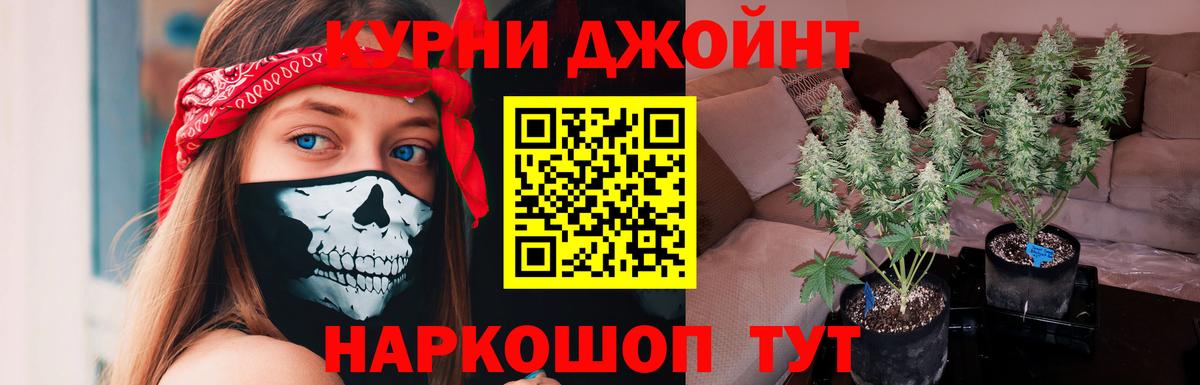 Новозыбков  Канабис индика  Бошки марихуана гибрид  Бошки марихуана конопля  Вход с VPN  Бошки марихуана марихуана 